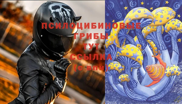 2c-b Белокуриха