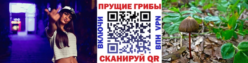 Псилоцибиновые грибы MAGIC MUSHROOMS  купить   Саяногорск 