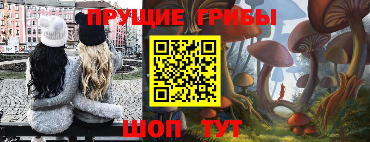 Галлюциногенные грибы мицелий  продажа наркотиков  Саяногорск  Вход с VPN 