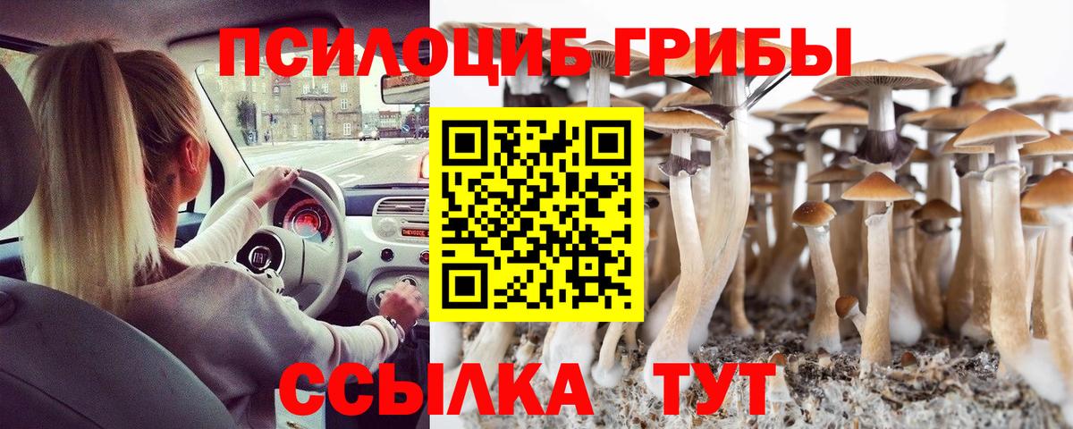 Псилоцибиновые грибы ЛСД Саяногорск