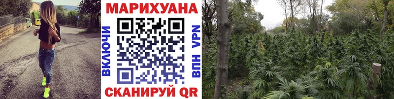 omg ONION  Саяногорск  Каннабис индика 